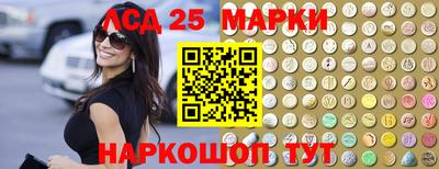 ALPHA PVP Камышлов