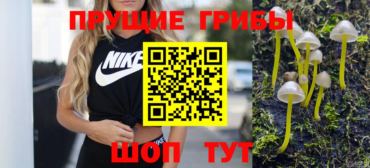Псилоцибиновые грибы Cubensis Кумертау